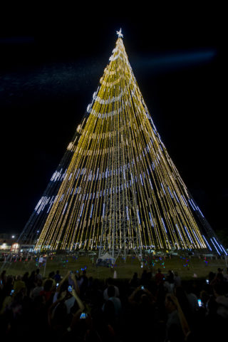 Foto: Árvore de Natal de Mirassol, em Natal           Maurício Cuca/Cosern/Divulgação